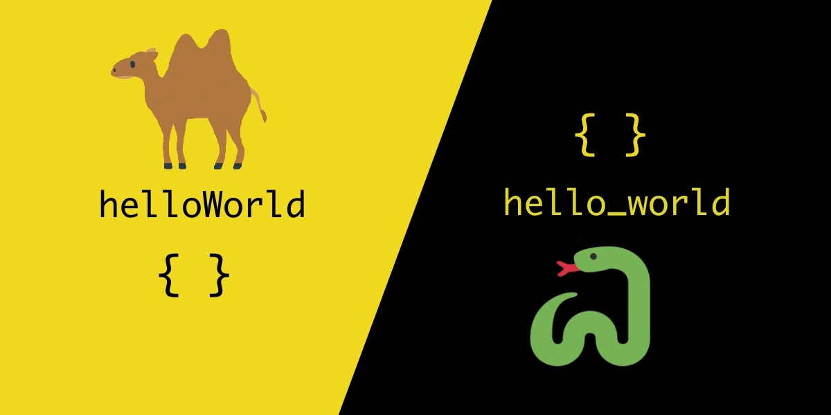 camelCase vs snake_case codebr